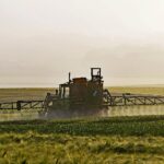 Bild von Agrarwirtschaft mit Pestizide